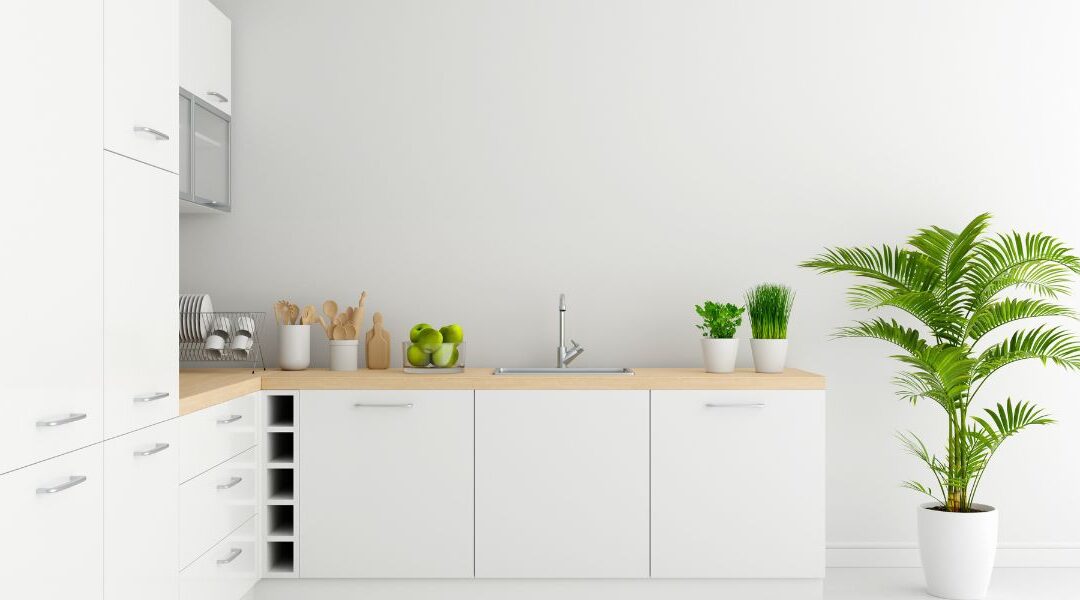 How to organise your kitchen cabinets