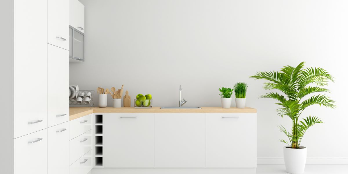 How to organise your kitchen cabinets